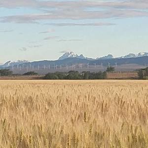 Meet your Posher, Heidi